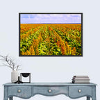Sorghum Field Wall Art