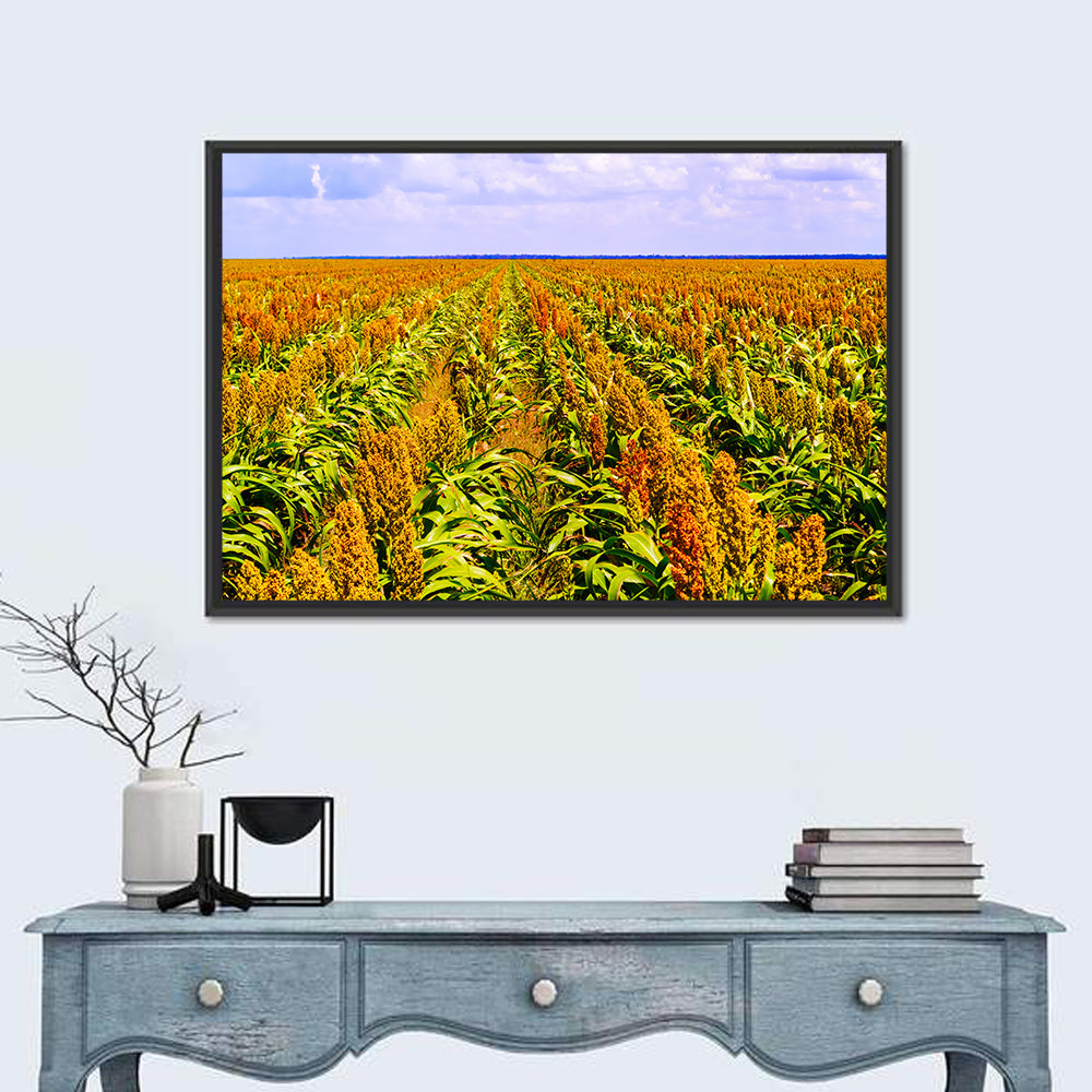 Sorghum Field Wall Art