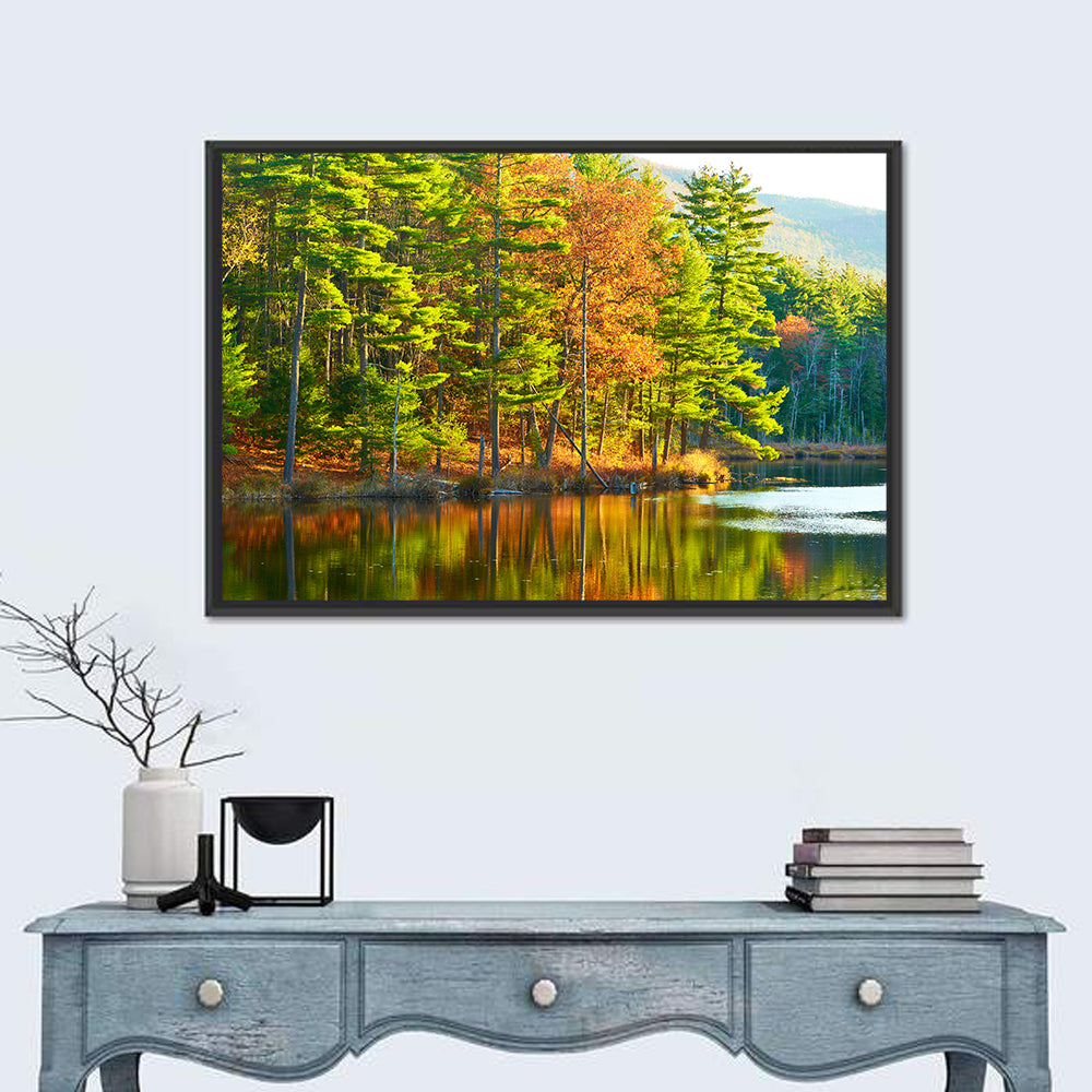 White Mountain National Forest Reflection Wall Art in a room, landscape