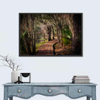 Louisiana Swamp Boardwalk Wall Art
