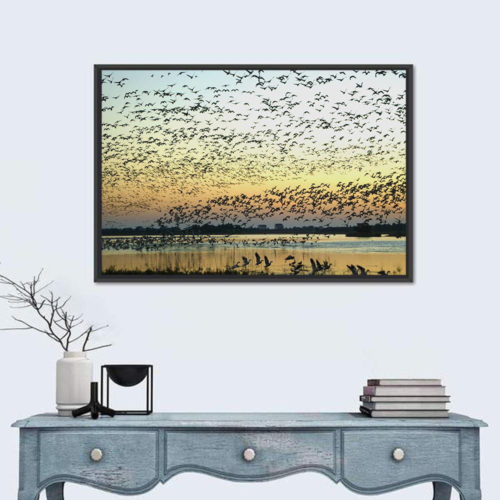 Snow Geese Over River Wall Art in a room, landscape