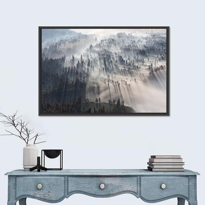 Foggy Forest Sunrise Wall Art