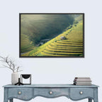 Golden Rice Terraces Wall Art