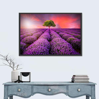 Lavender Field Sunset Wall Art