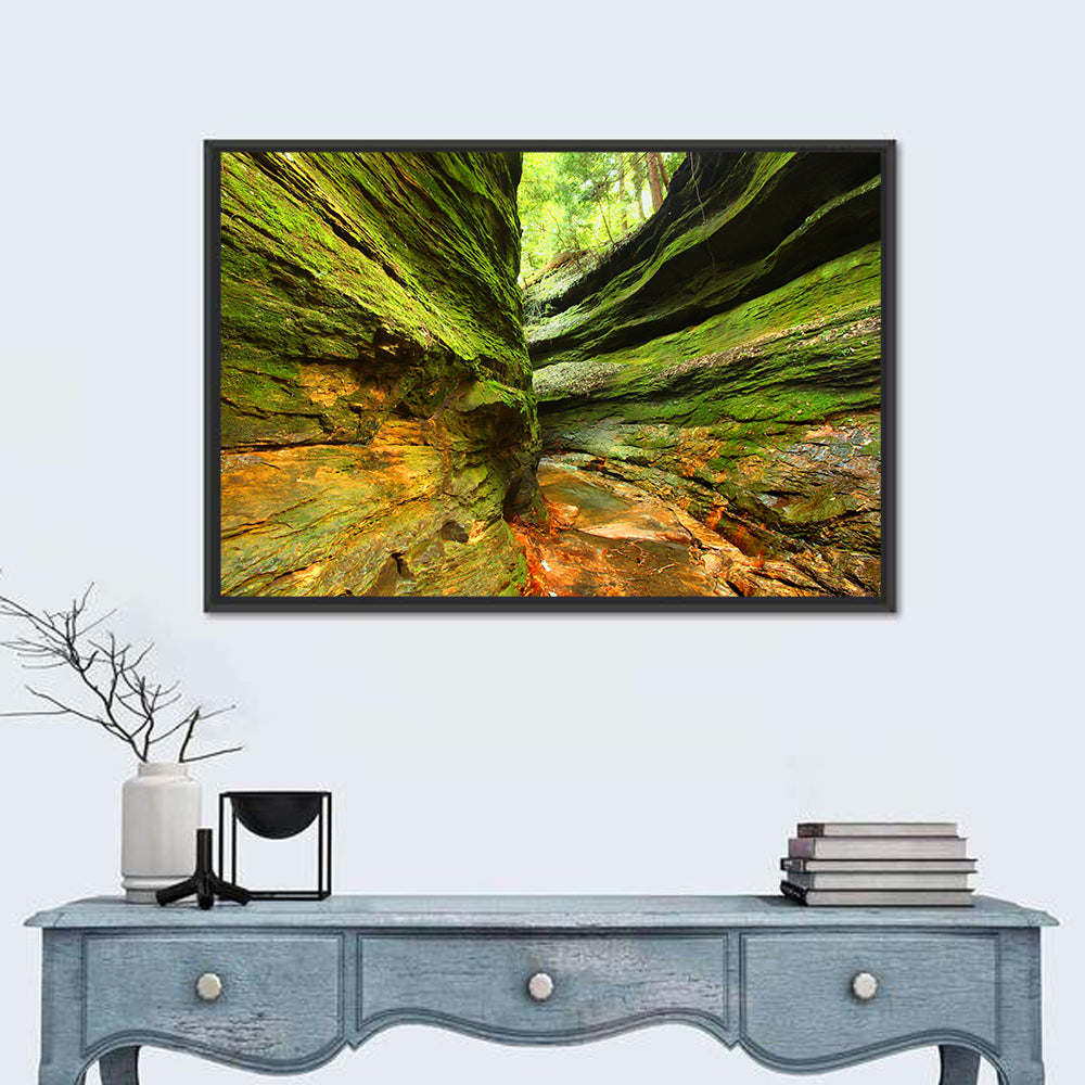 Turkey Run State Park Canyon Wall Art in a room, landscape
