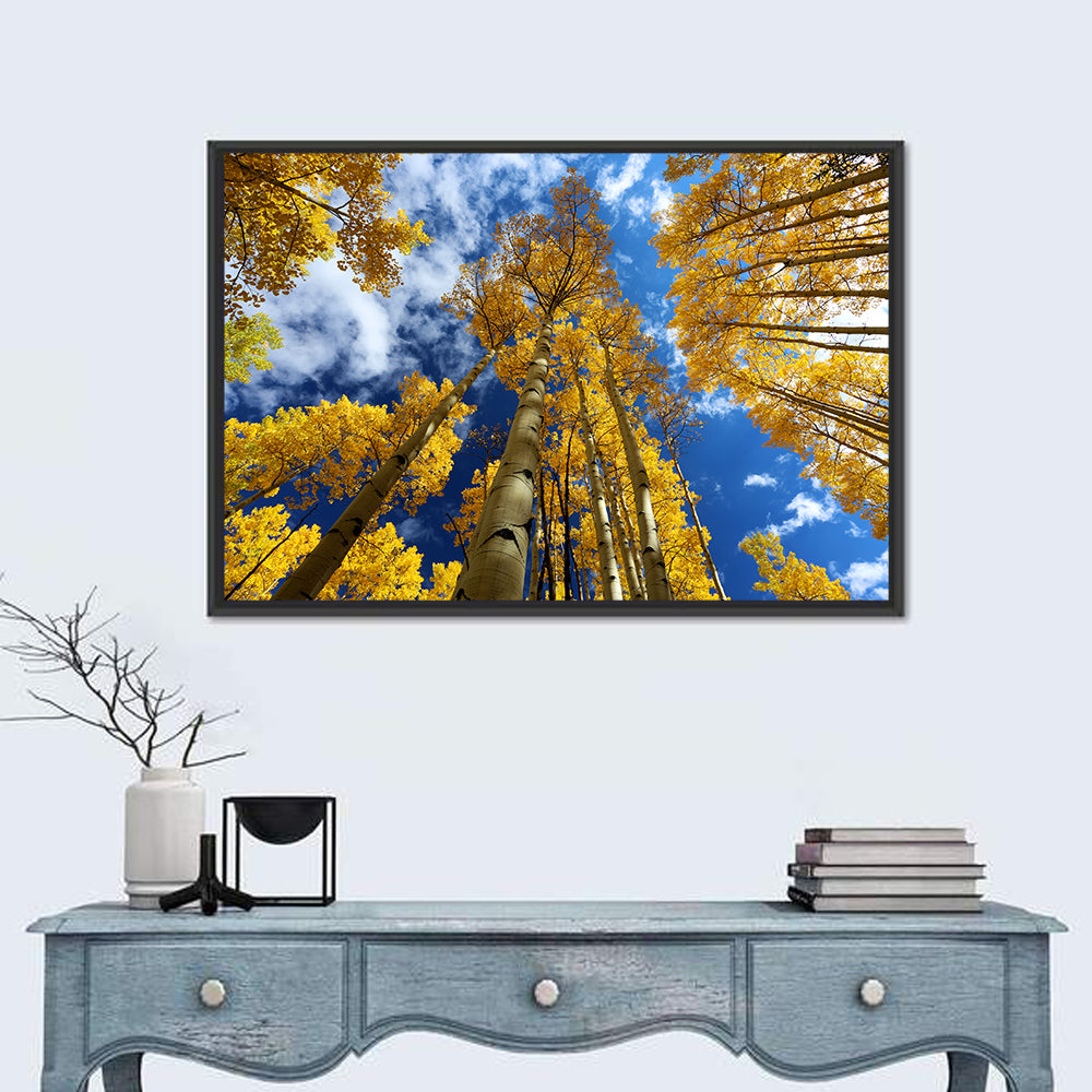 Golden Aspen Canopy View Wall Art