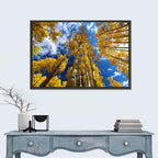 Golden Aspen Canopy View Wall Art