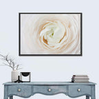 Peach Ranunculus Macro Bloom Wall Art