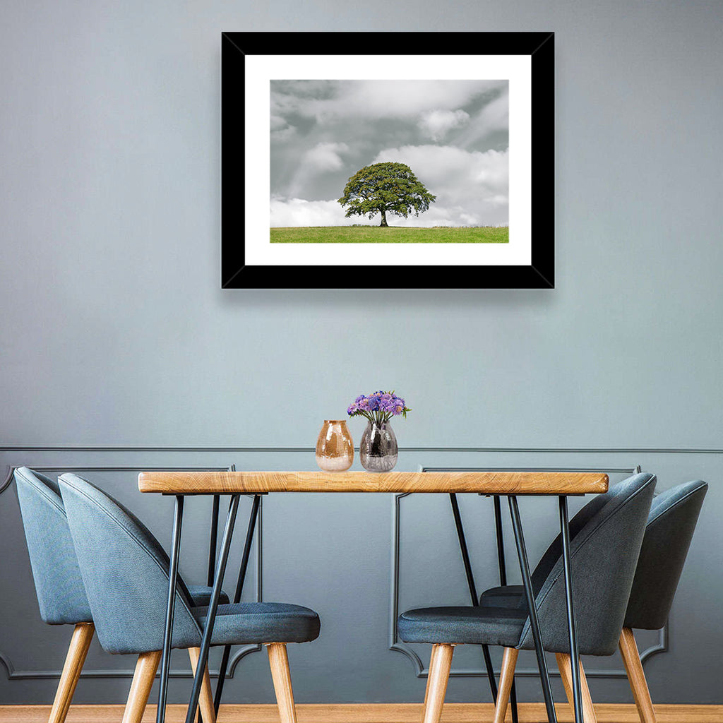 Solitary Oak in Meadow Wall Art