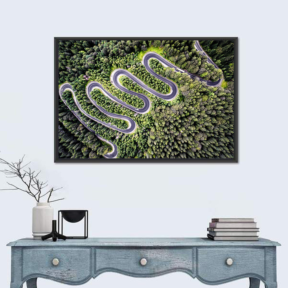 Serpentine Mountain Road Wall Art