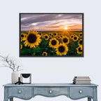 Sunflower Field at Sunset Wall Art