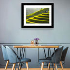 Golden Rice Terraces Wall Art