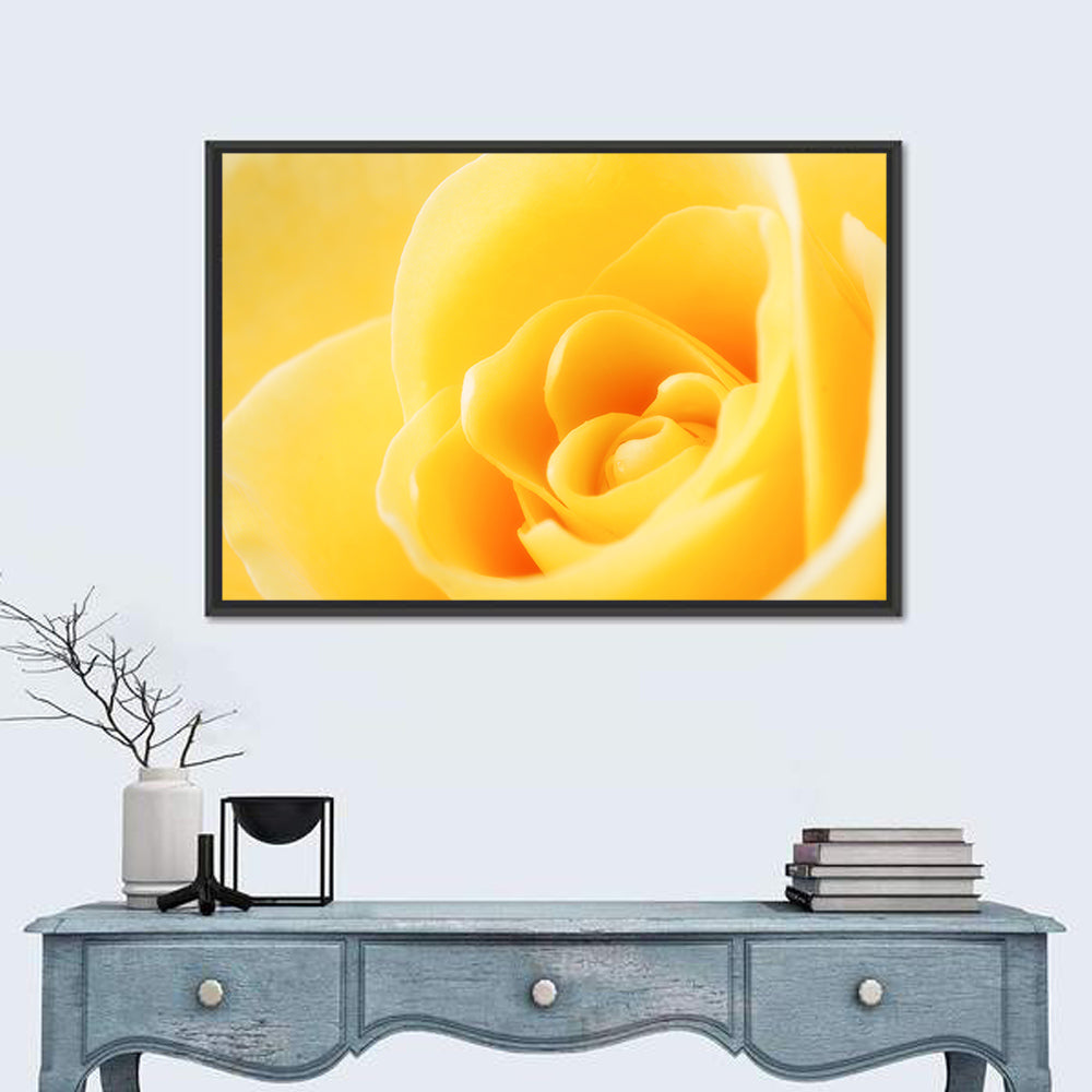 Soft-lit Yellow Rose Close-up Wall Art in a room, landscape