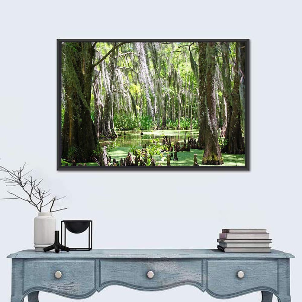 Louisiana Cypress Swamp Wall Art in a room, landscape