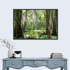 Louisiana Cypress Swamp Wall Art
