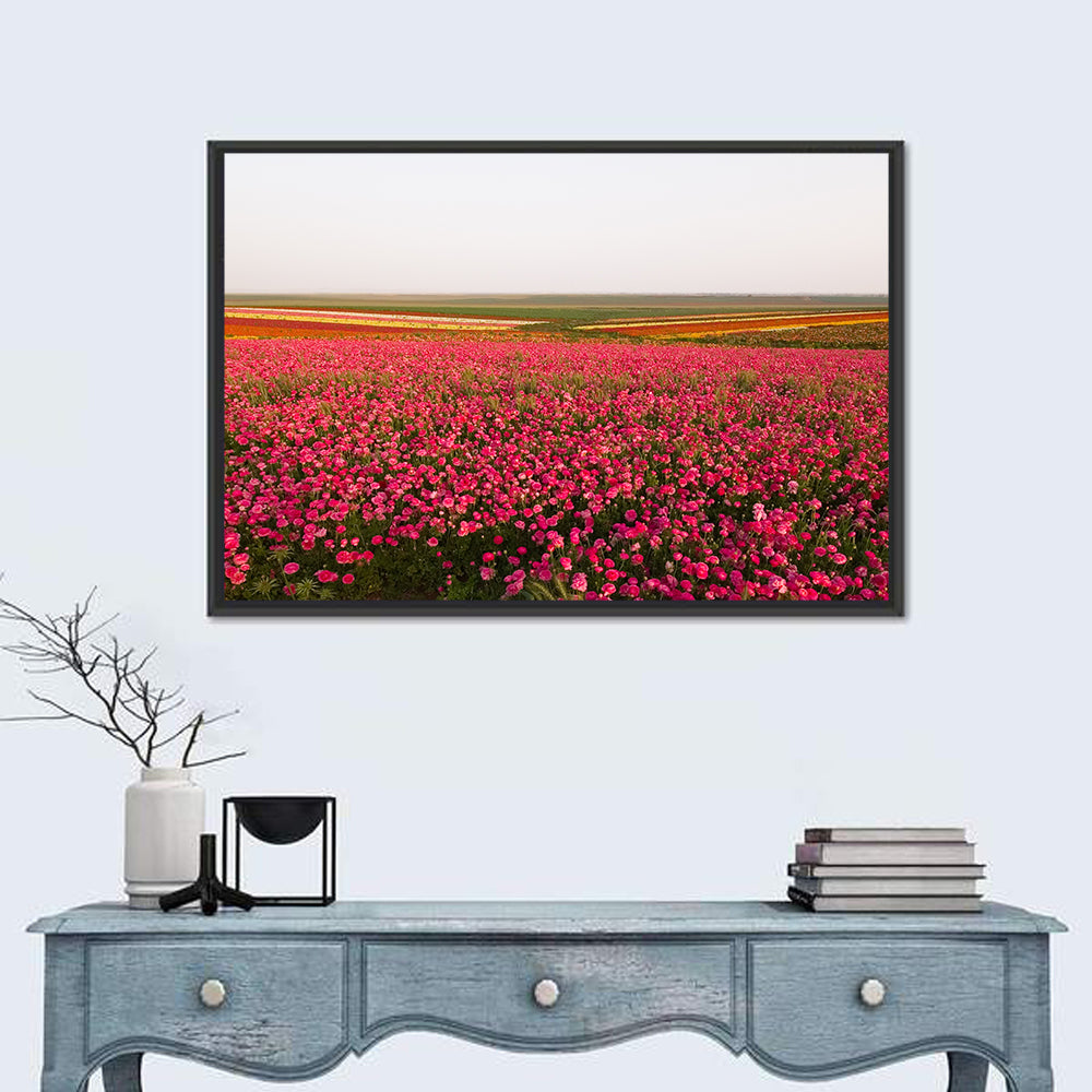 Pink Ranunculus Flower Field Wall Art