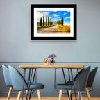 Sunlit Tuscany Cypress Road Wall Art