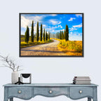 Sunlit Tuscany Cypress Road Wall Art