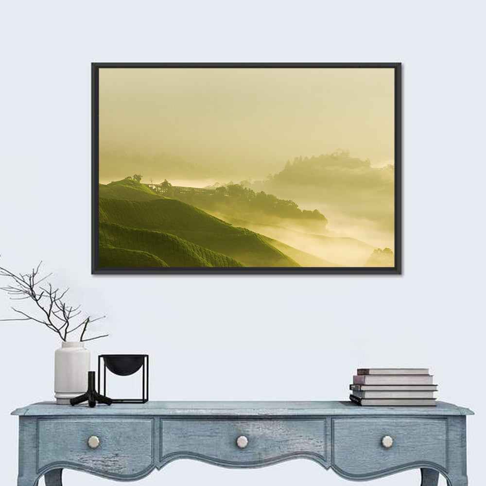 Tea Plantation Morning Mist Wall Art in a room, landscape