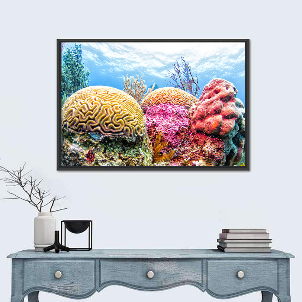 Vibrant Brain Coral Reef Wall Art in a room, landscape