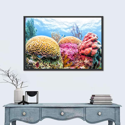 Vibrant Coral Reef Wall Art