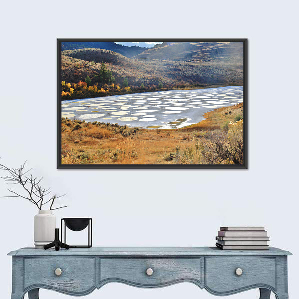 Spotted Lake Osoyoos Wall Art in a room, landscape