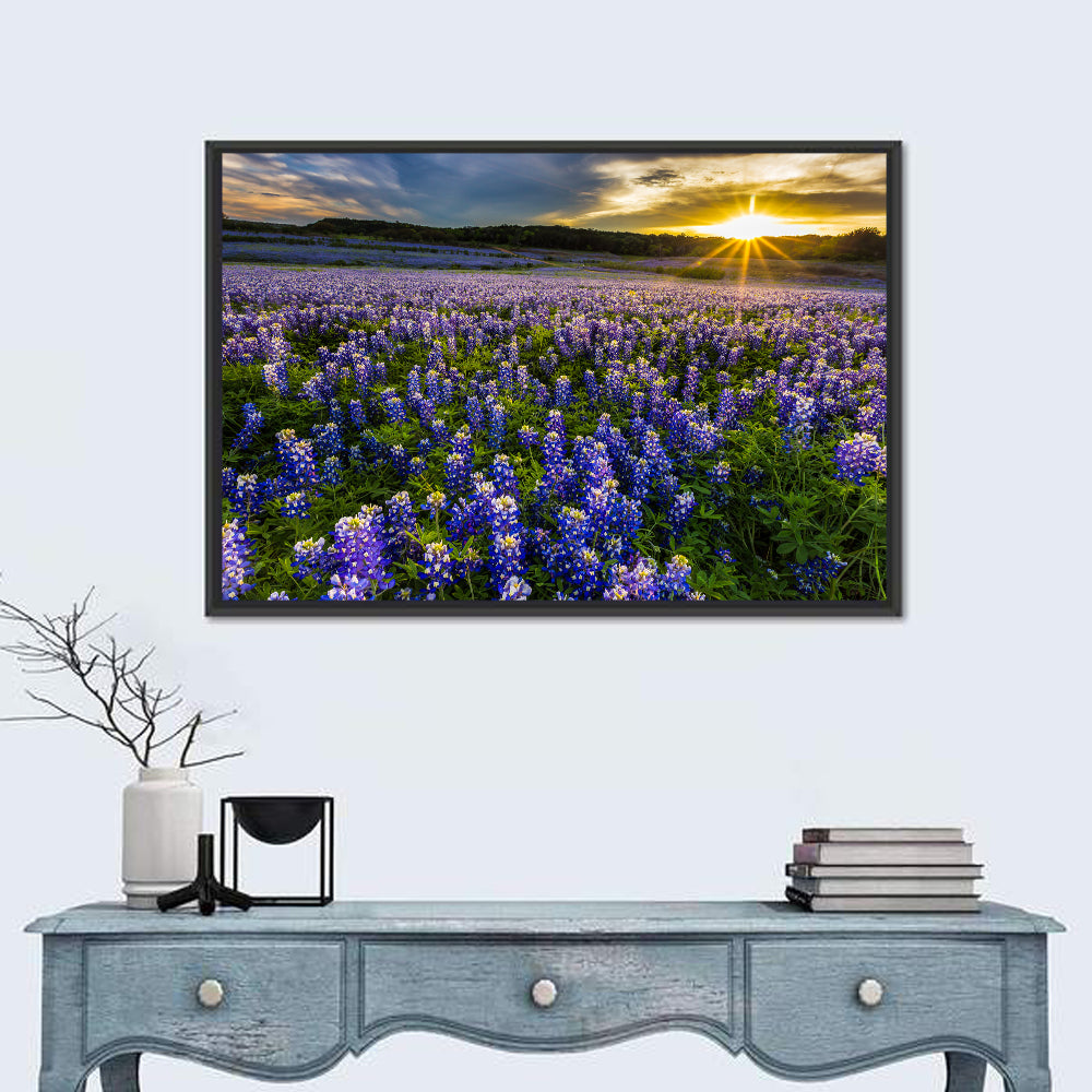 Texas Bluebonnet Field at Sunset Wall Art in a room, landscape