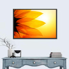 Backlit Sunflower Petals Wall Art