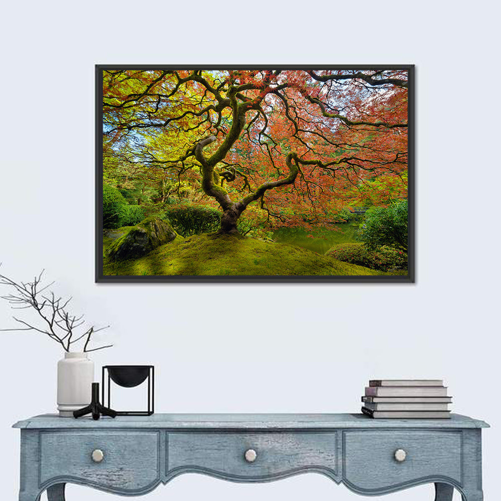 Gnarled Japanese Maple by Garden Pond Wall Art in a room, landscape