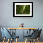 Moss-covered Rainforest Path Wall Art