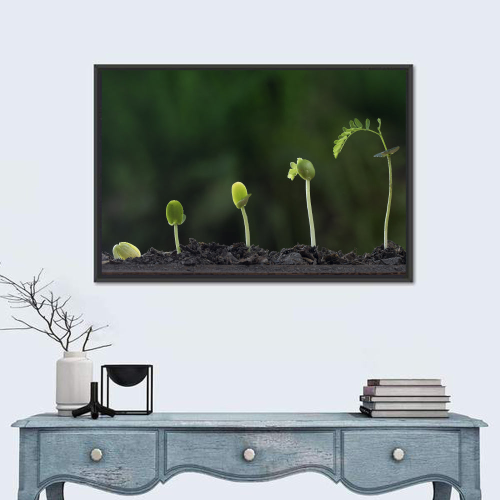 Five-stage Plant Growth Wall Art in a room, landscape