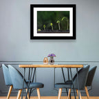 Five-stage Plant Growth Wall Art