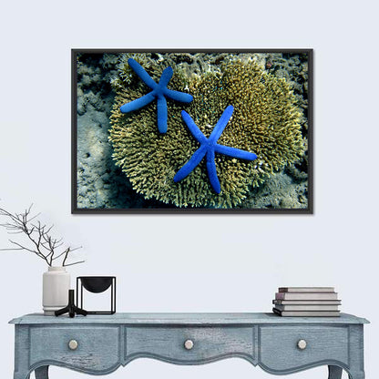 Blue Starfish Wall Art