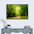 Sunlit Forest Pathway Wall Art