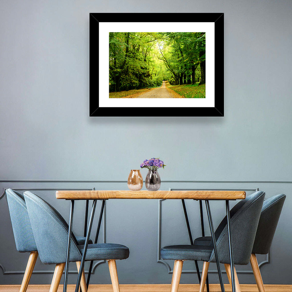 Sunlit Forest Pathway Wall Art