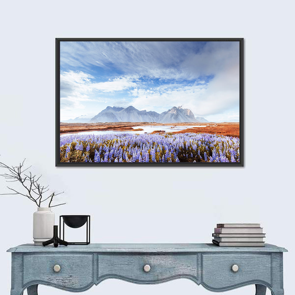 Lupine Fields at Vestrahorn Wall Art in a room, landscape