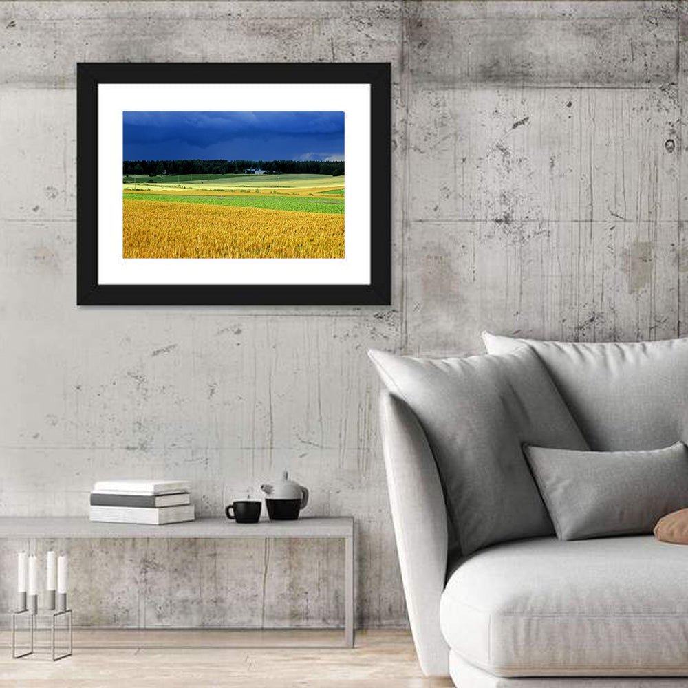 Cornfields Under Stormy Sky Wall Art in a room, landscape