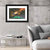 Meteor In Colorful Sky Wall Art