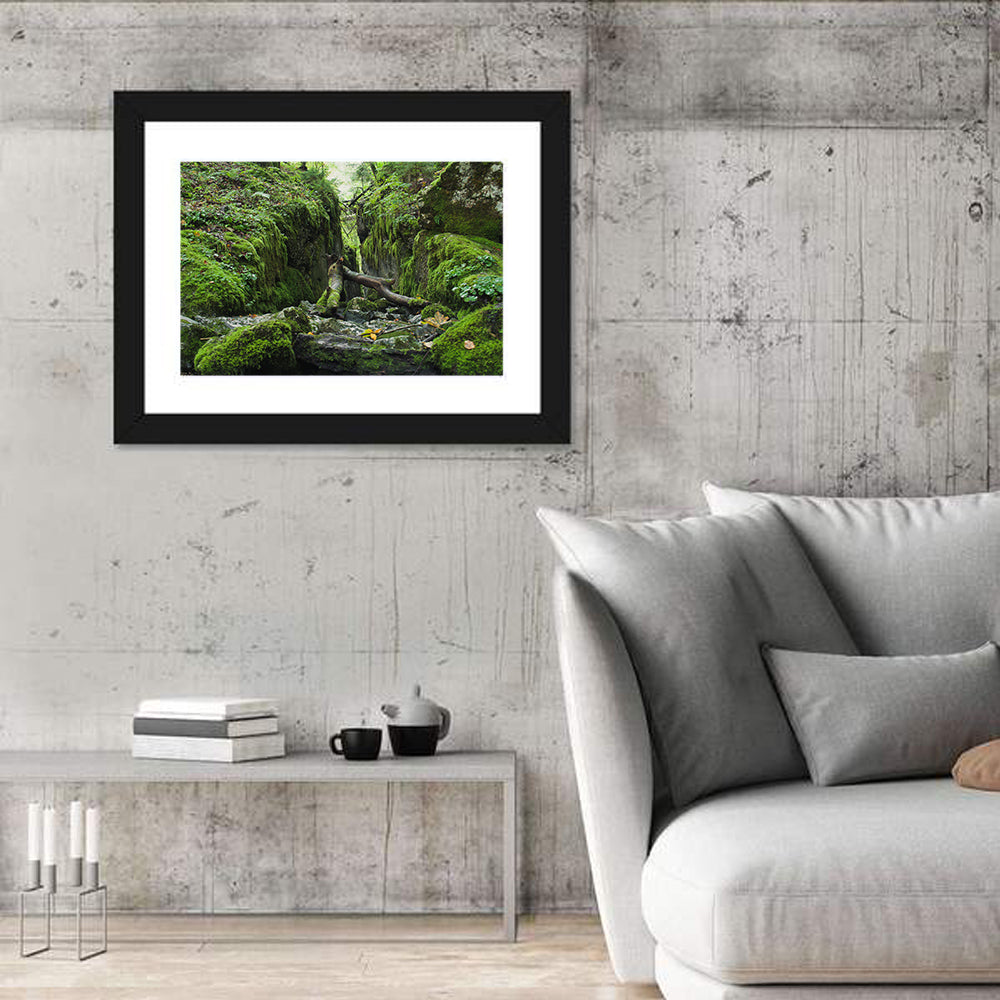 Kammersee Mossy Cleft Wall Art in a room, landscape