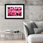 Pink Geranium Close Up Wall Art