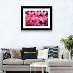 Pink Geranium Close Up Wall Art
