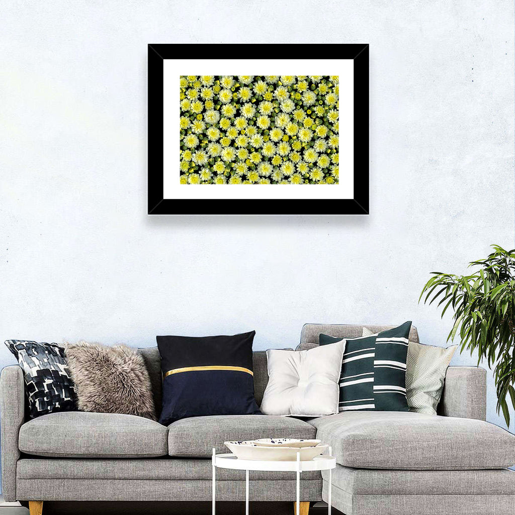 Yellow Chrysanthemum Bloom Pattern Wall Art