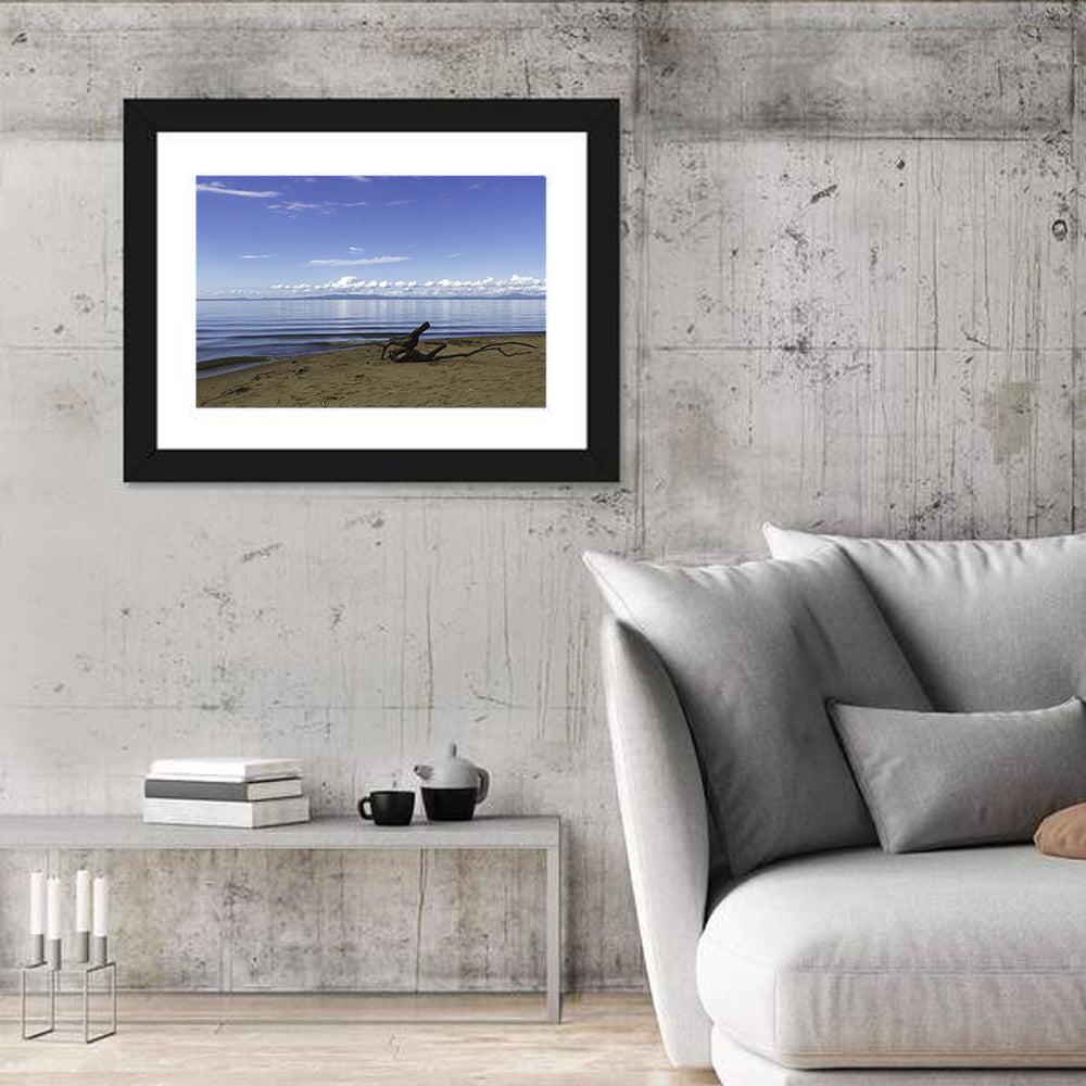 Shallow Lake Khanka Wall Art in a room, landscape