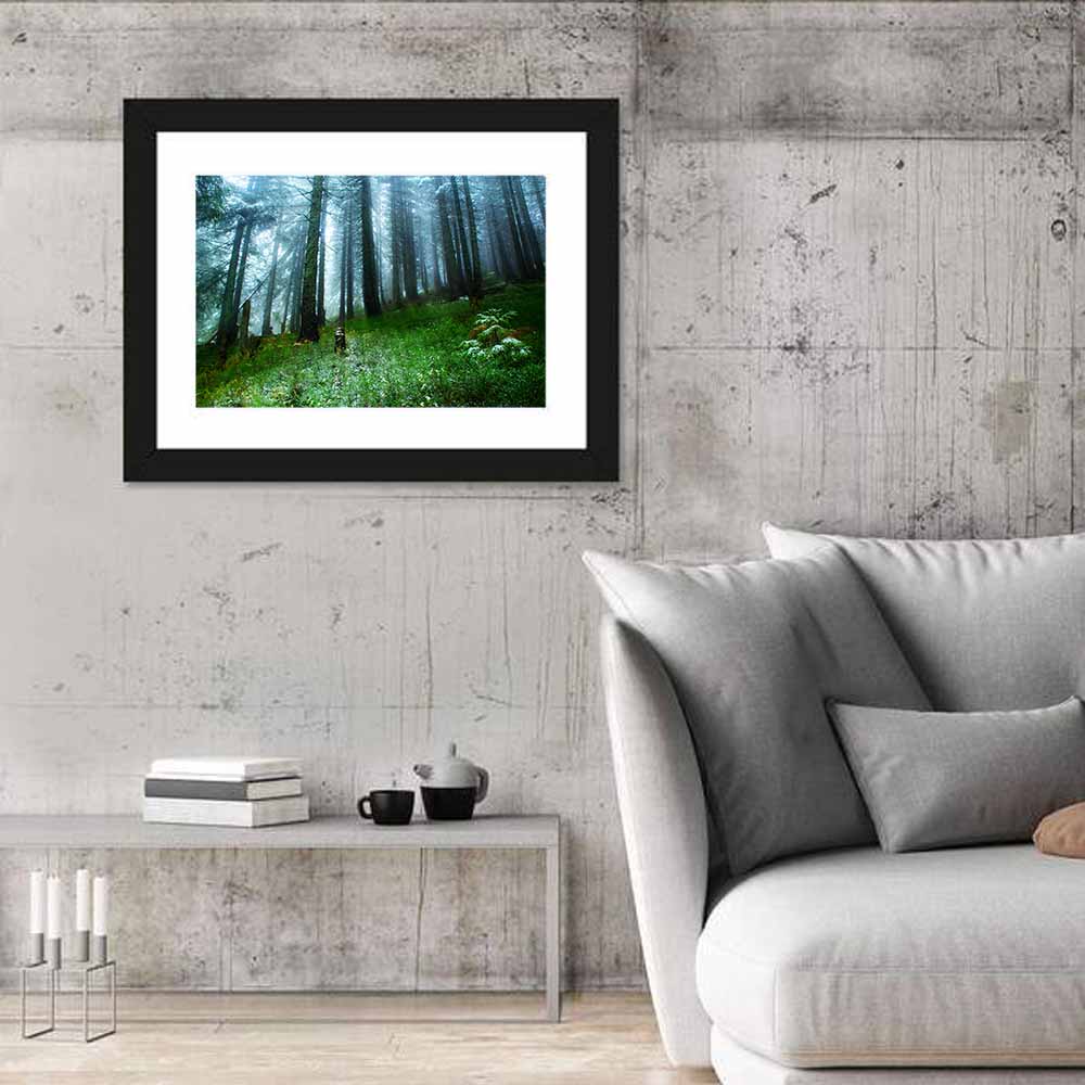 Misty Green Pine Forest Wall Art