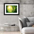 Enchanted Forest at Sunrise Wall Art