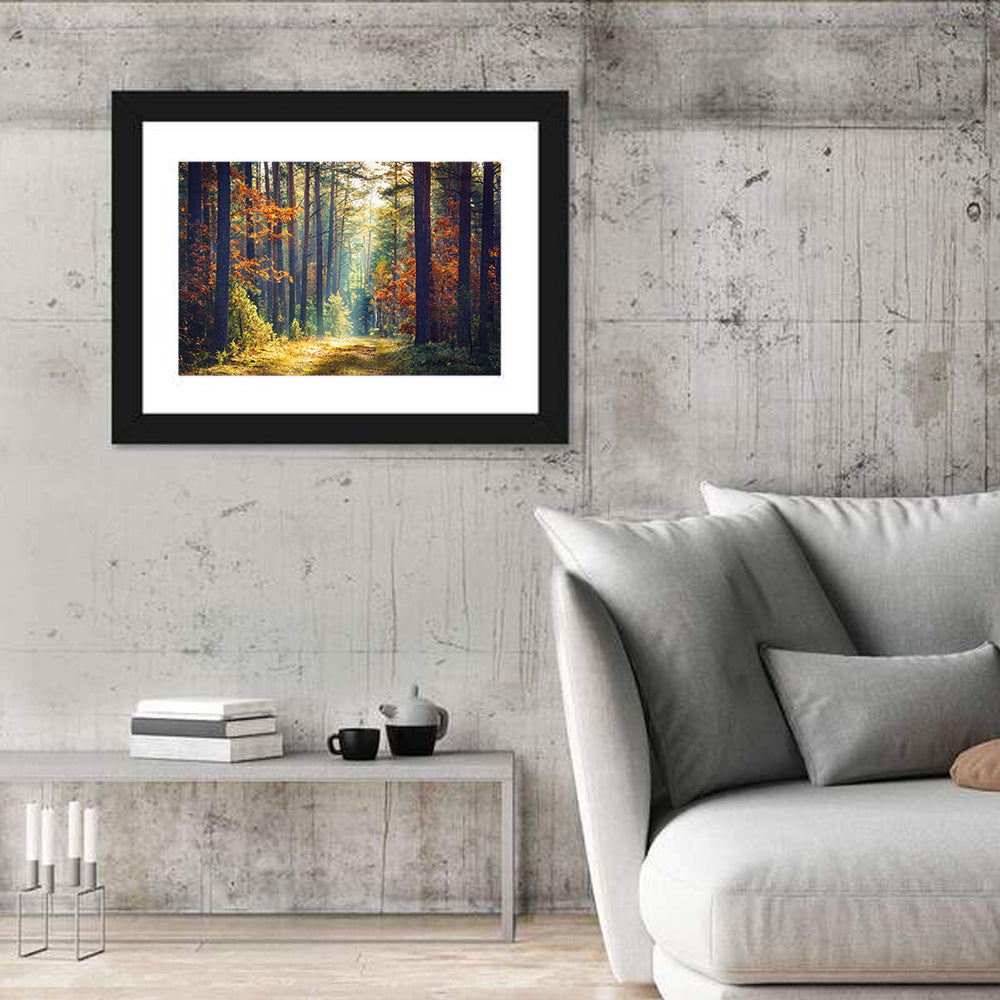 Sunlit Autumn Pine Forest Wall Art in a room, landscape