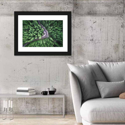 Forest From Drone Wall Art