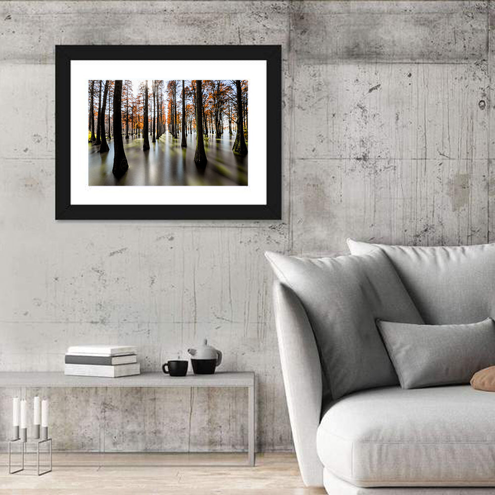 Autumn Flooded Cypress Forest Wall Art in a room, landscape