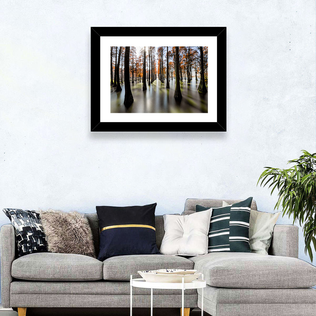 Autumn Flooded Cypress Forest Wall Art