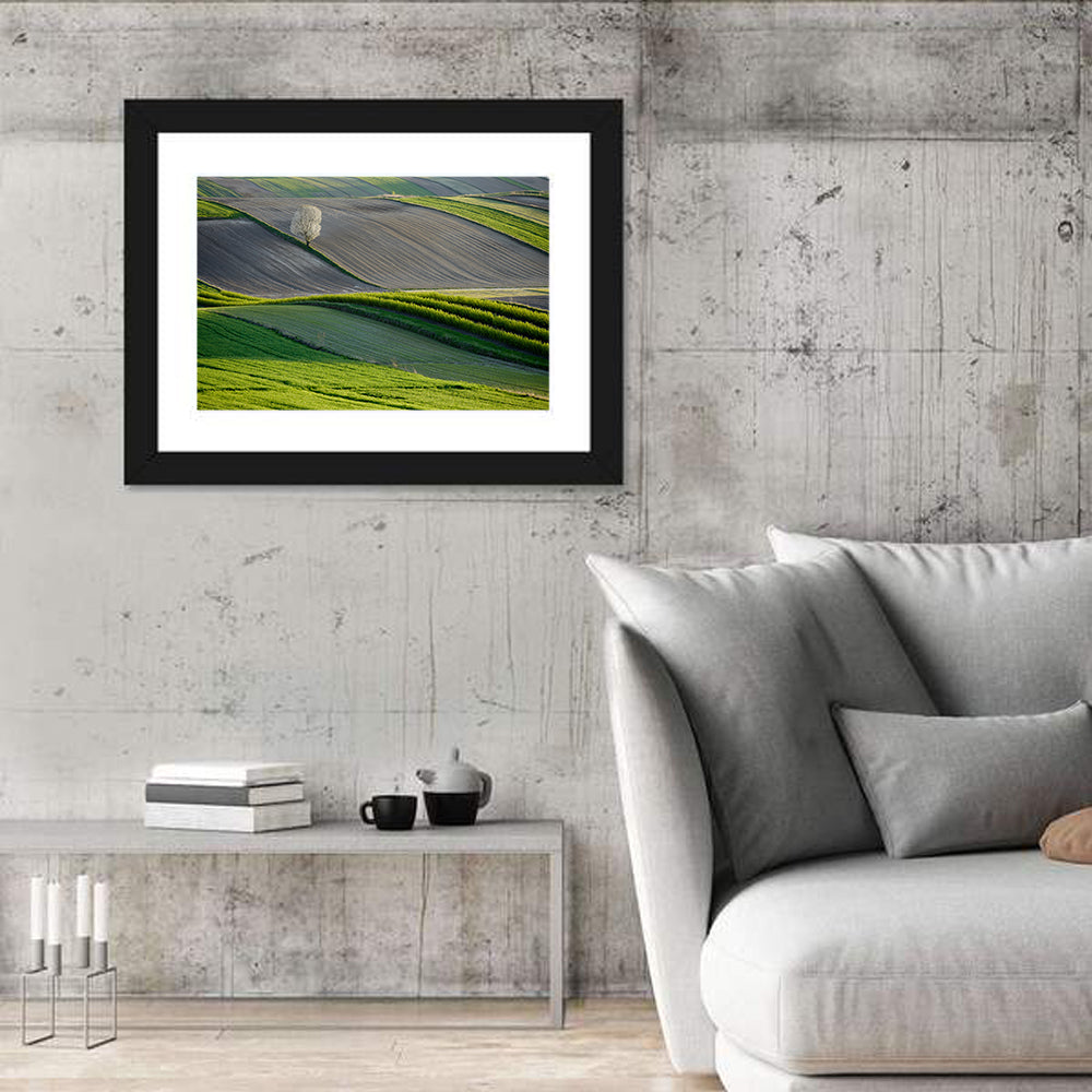 Springtime Polish Fields Wall Art in a room, landscape